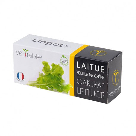 Lingot Oakleaf Lettuce - Organic