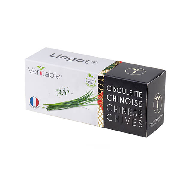 LingotChinese chives - Organic
