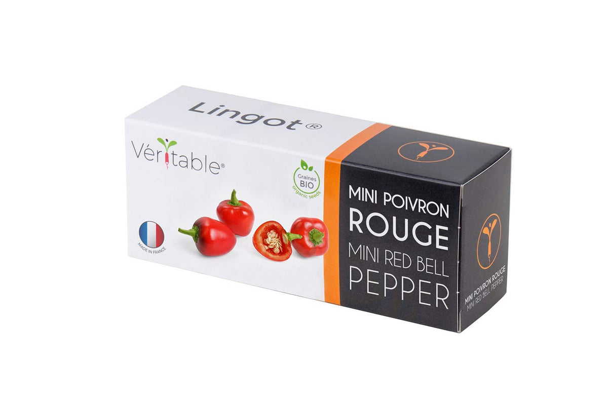 Lingot Mini red Pepper - Organic