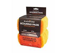 Replacement Scrub Pads (x 10)