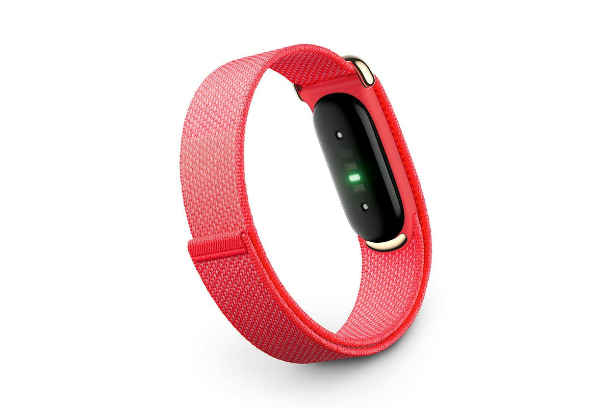 Google Fitbit Air, Berry, EU