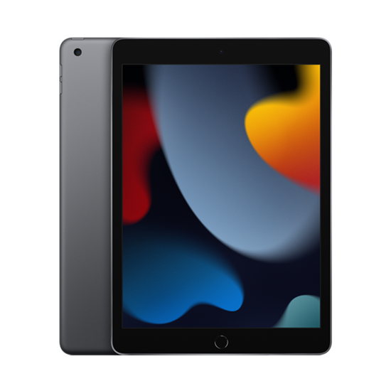 Tablet Apple iPad 10.2 9.Gen (2021) 256GB WiFi - Grey