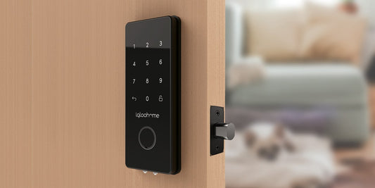 igloohome Smart Rim Lock (Wooden Door)