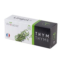 Lingot Thyme - Organic