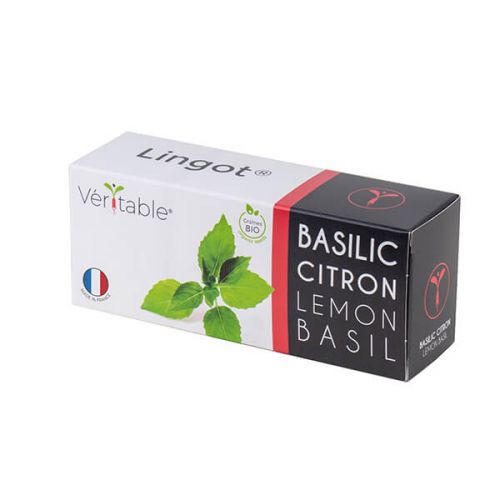 Lingot Lemon Basil - Organic