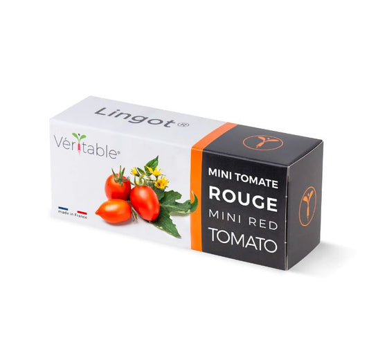 Lingot Red mini Tomato