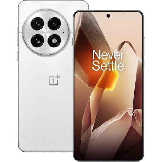 OnePlus 13 16/512 GB Arctic Dawn EU