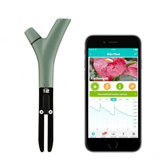 Parrot Flower Power - Wireless Indoor/Outdoor Blue