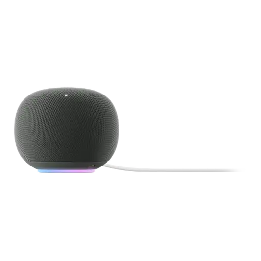 Google Home Speaker - Hazel