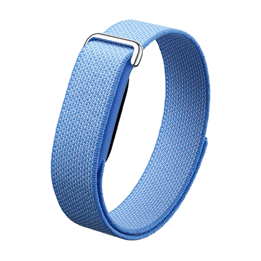 Watch Google Fitbit Air - Lavender