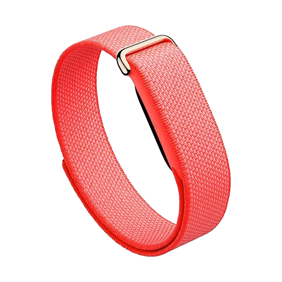Watch Google Fitbit Air - Berry