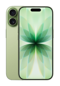 Apple iPhone 17 256GB, Sage, India Spec