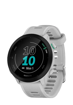 Garmin Forerunner 55 White, 010-02562-11