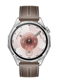 Huawei WATCH GT 6, 46mm Grey, 55020FTW, (Atum-B19L)