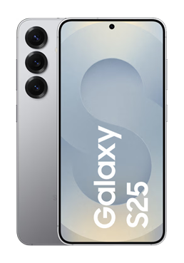 Samsung Galaxy S25 128GB, 12GB RAM, Silver Shadow, DACH-Ware
